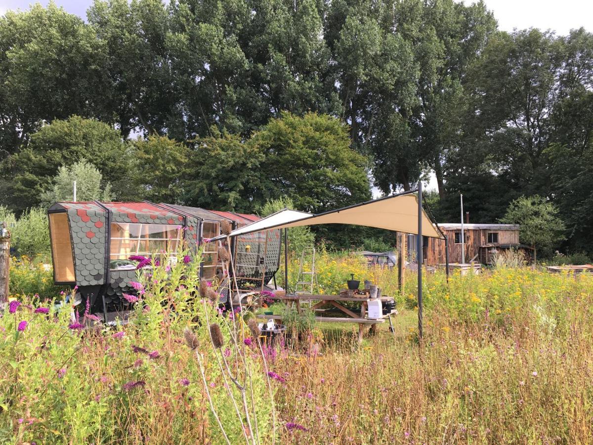 Farm Appart hôtel *