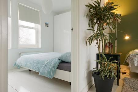 Adam & Eve Appartement