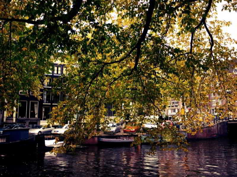 The Bank Amsterdam