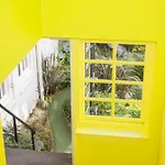One And Only Bedroom