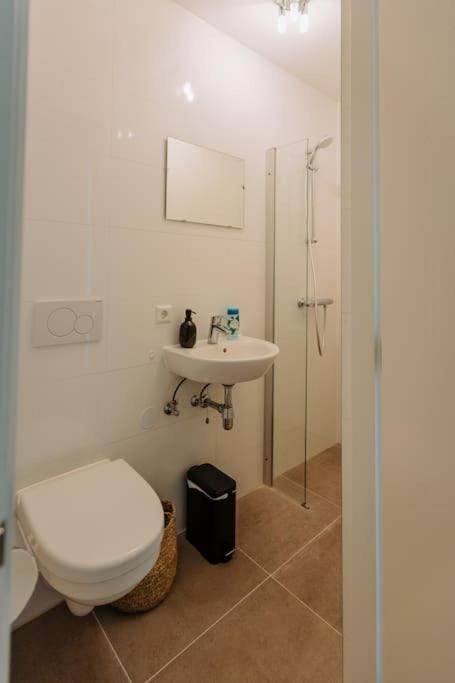 Biệt thự Brand New Bright & Luxurious In Amsterdam!