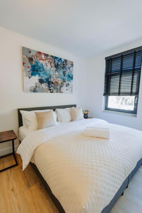 Brand New Bright & Luxurious In Amsterdam! Biệt thự *