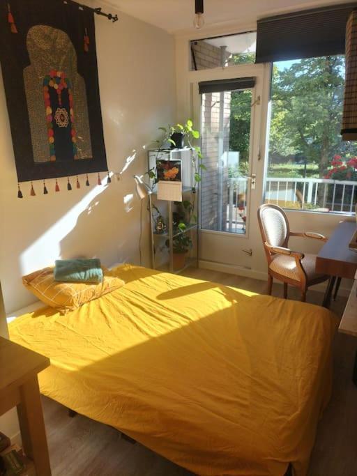 Relaxed In East Apartment