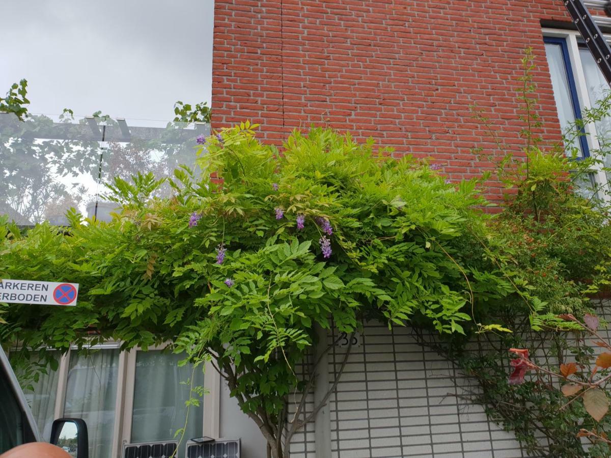 Johan's B&b, Dakterras & Goedkoop Parkeren - Sinds 2014 Homestay