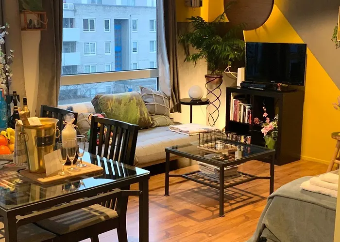 Cosy & Stylish flat in Amsterdam