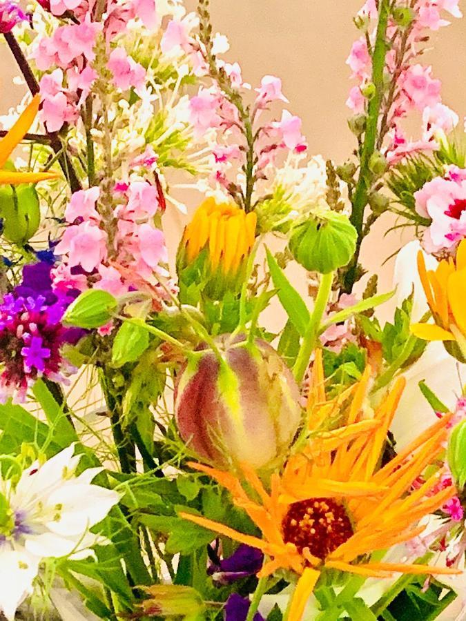 Bed & Breakfast Jo Amsterdam Diemen