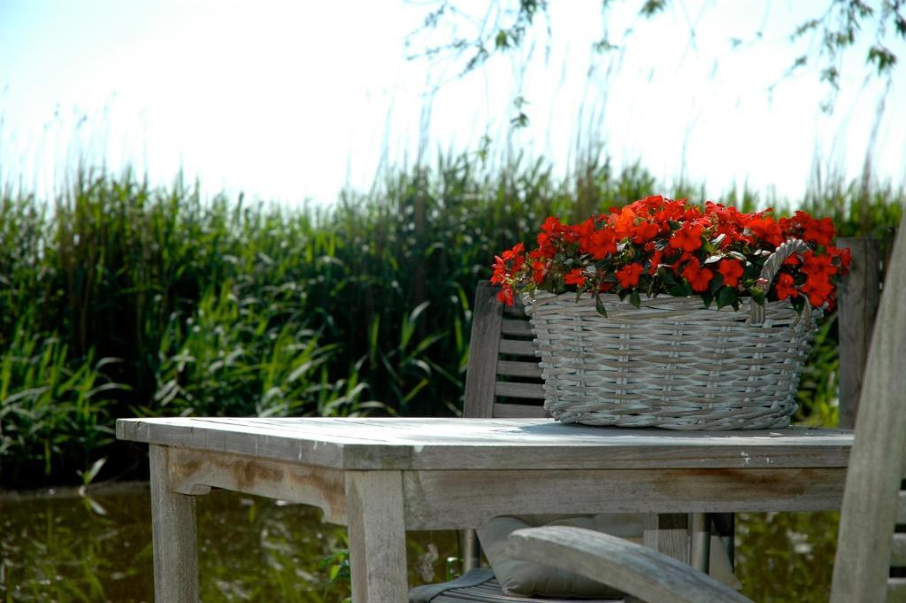 Country Ferienhaus *
