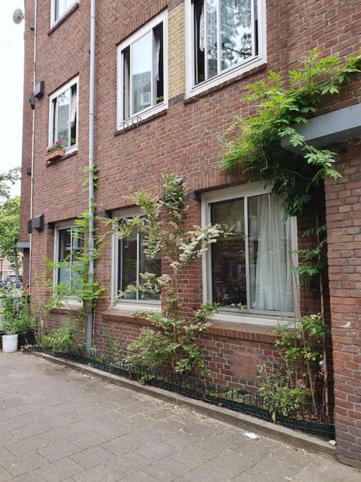 Appartement Met 2 Slaapkamers En Tuin In