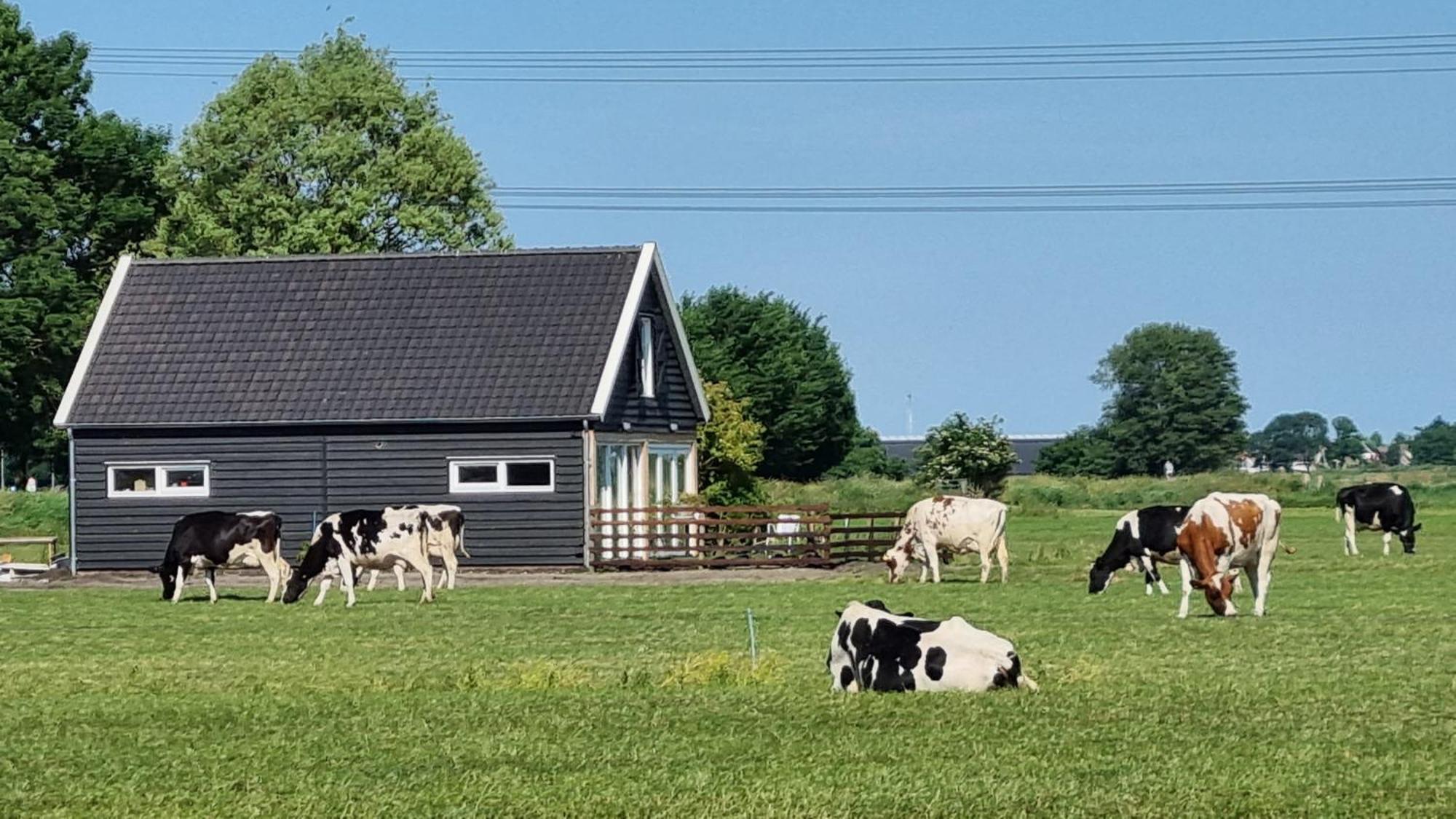 Farmer , Bed, Bike And Breakfast In Bed & Breakfast