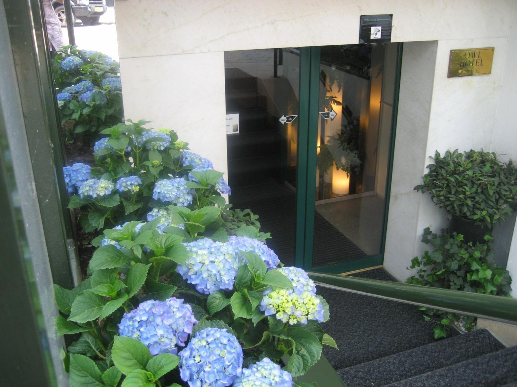 Hotel Owl Amesterdão