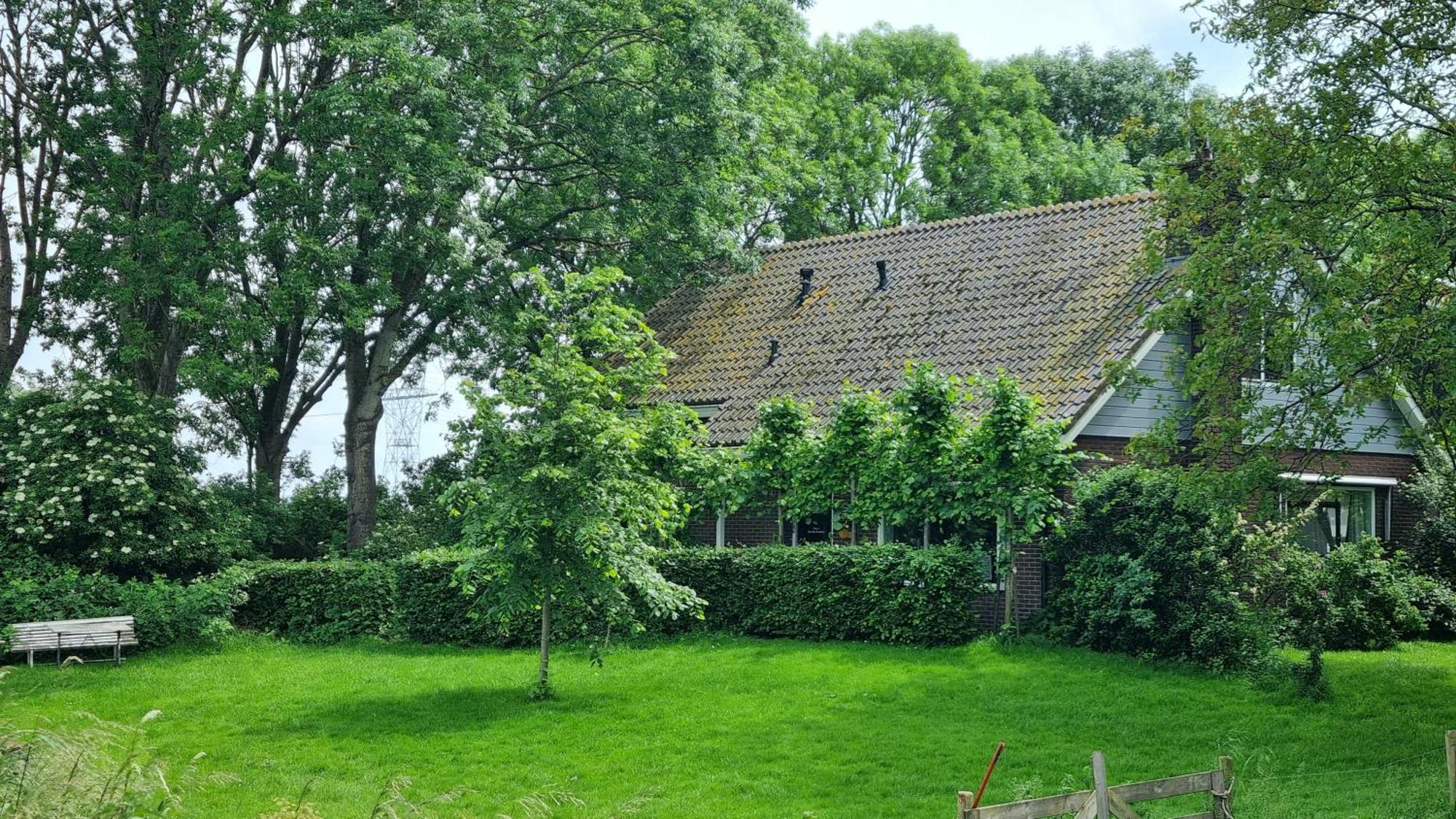 Farmer , Bed, Bike And Breakfast In 2* Amsterdam