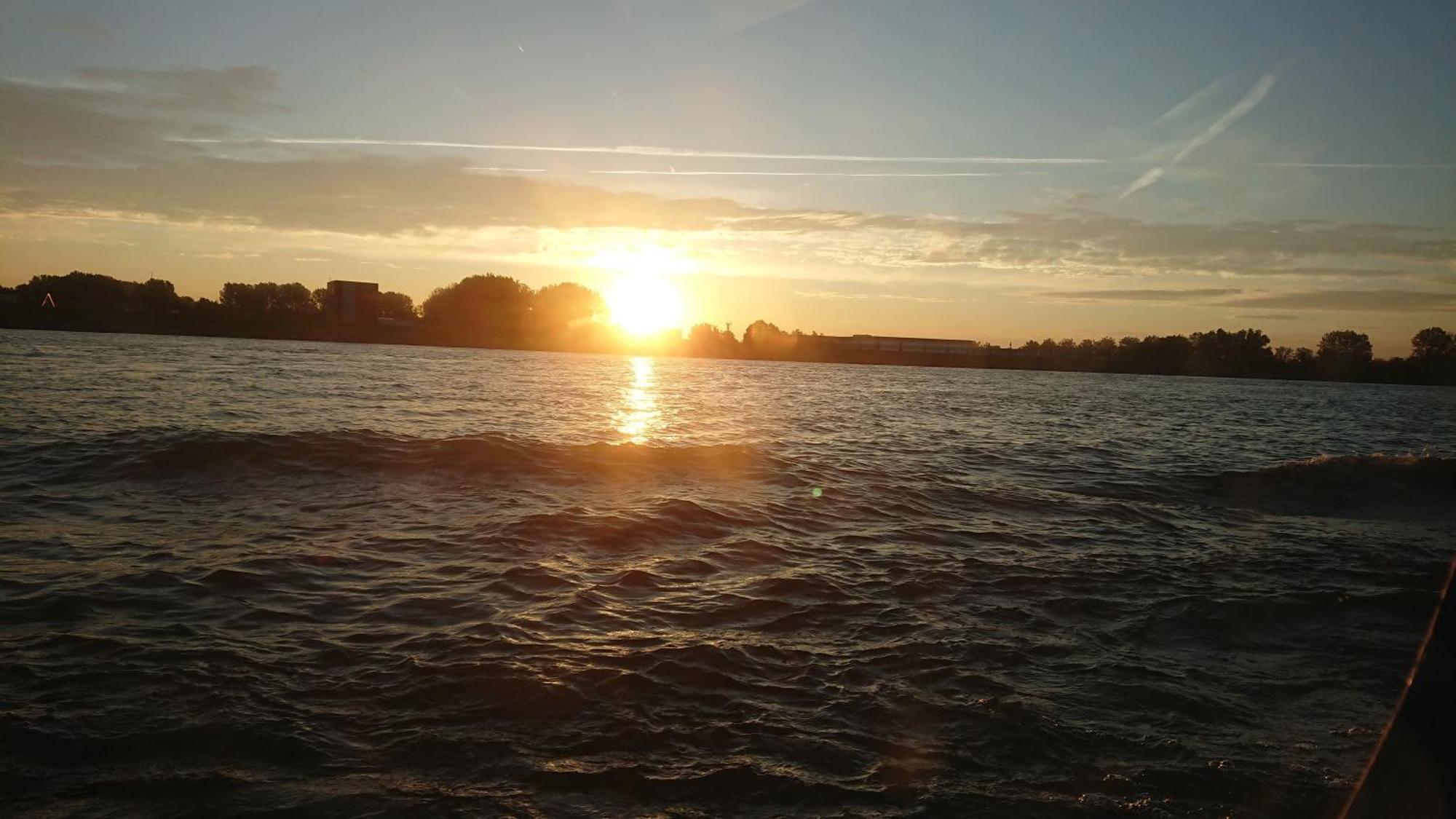 Zwaantje