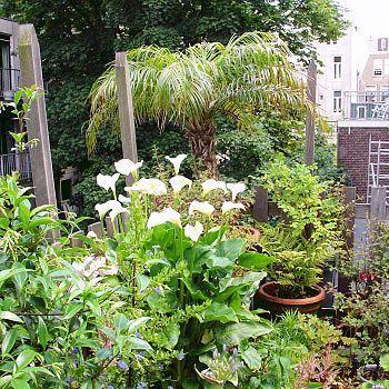 Frederik Park House Amsterdam