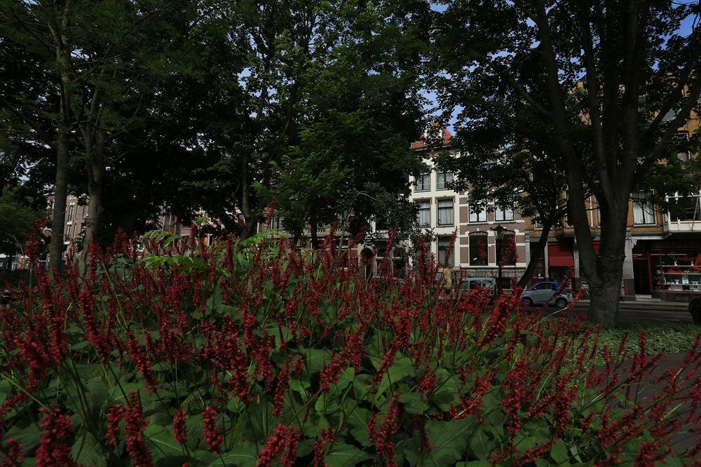 Frederik Park House