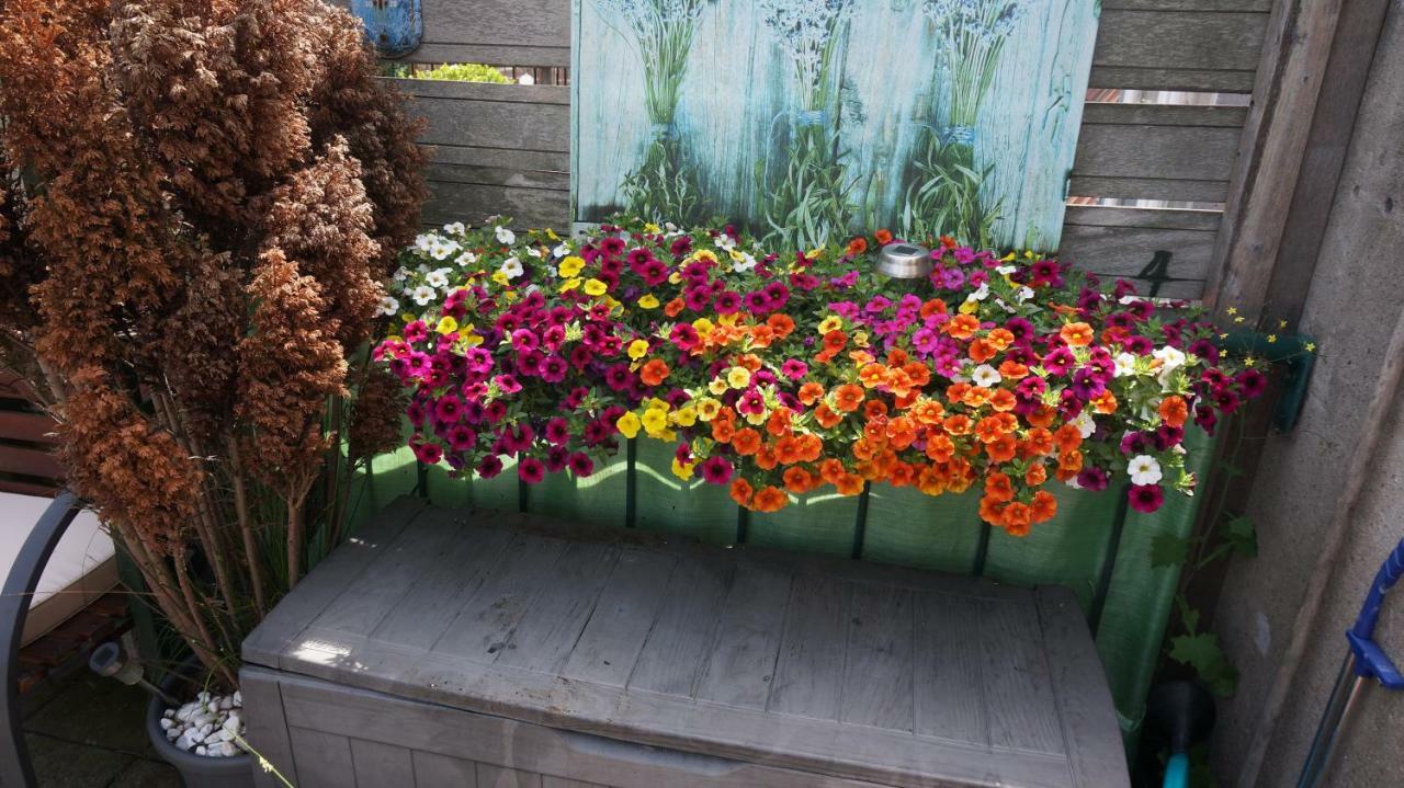 Bed & Breakfast Roof Terrace