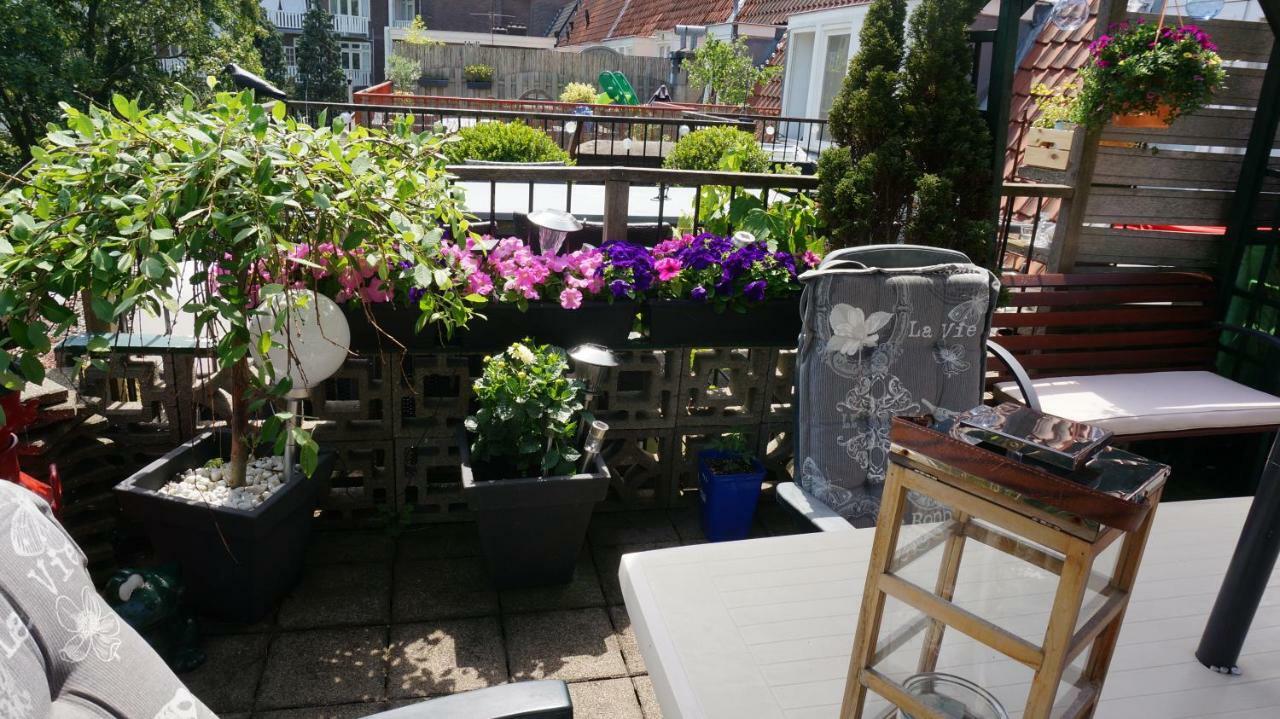 Roof Terrace