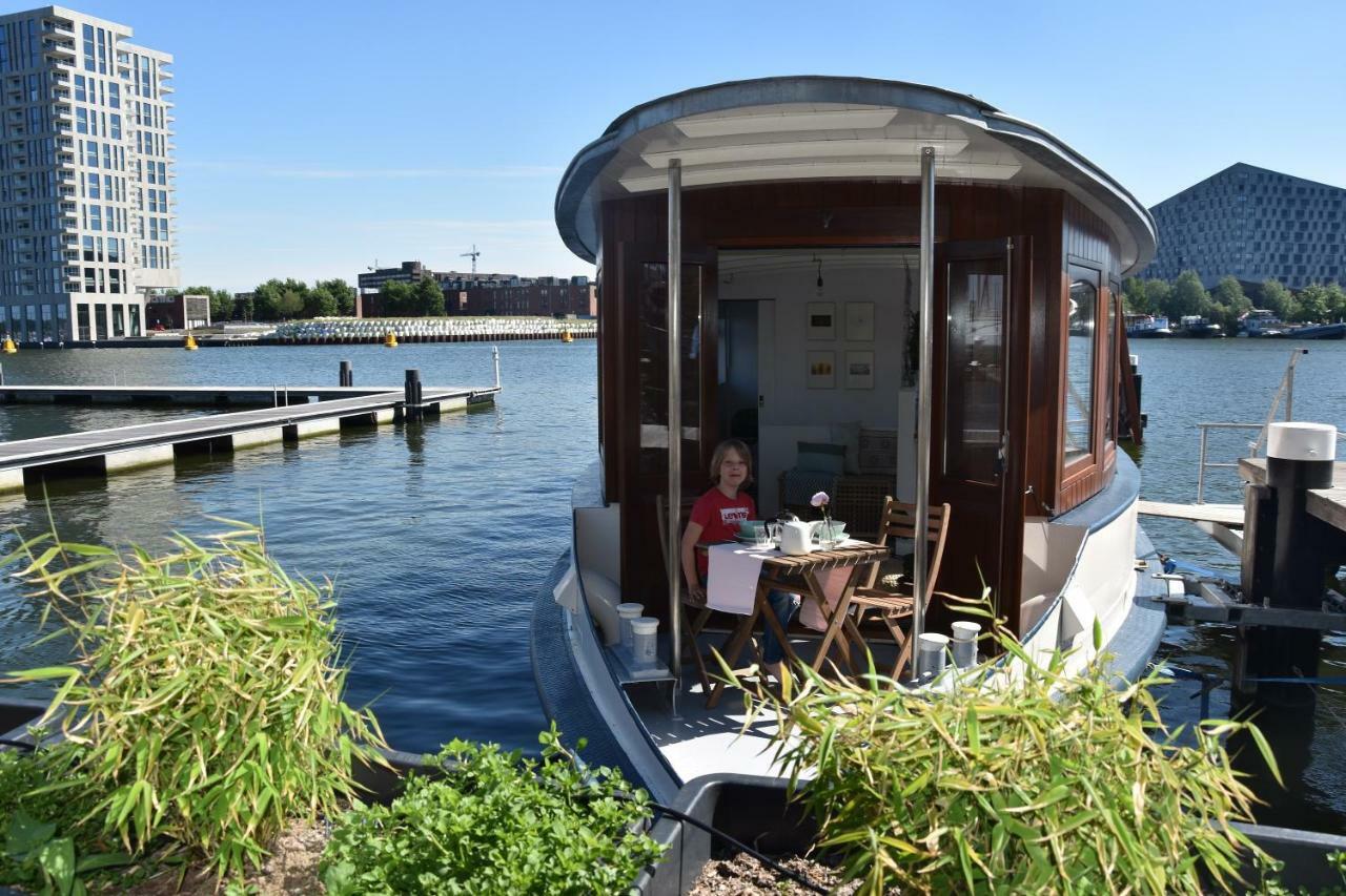 Bateau-hôtel Houseboat Ms Rhy Blitz Amsterdam