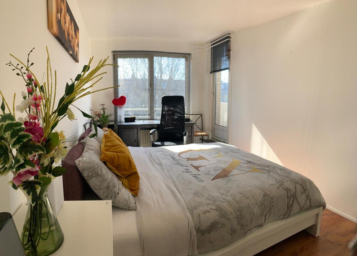 Cosy & Stylish Flat In Amsterdam