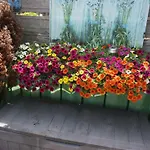 Amsterdam Roof Terrace B&B