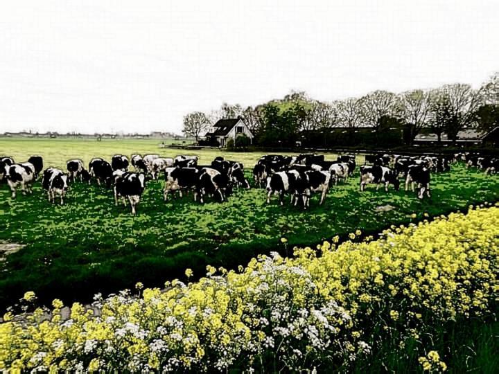 Farmer Farmyard Stays, Sleep Easy, Rural, Explore Acampamento
