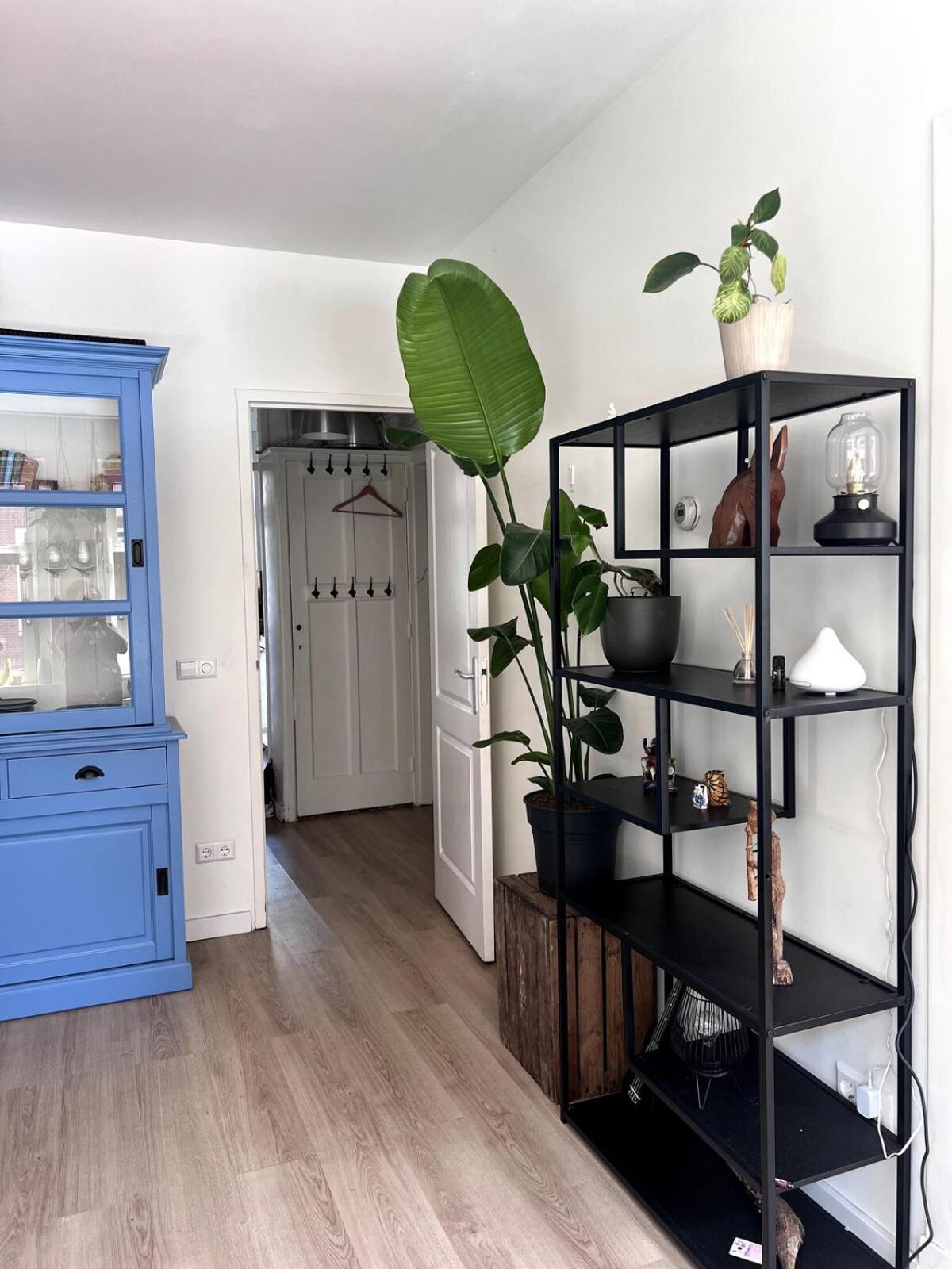 Centrally Located 2-bedroom In Oud-west Căn hộ *