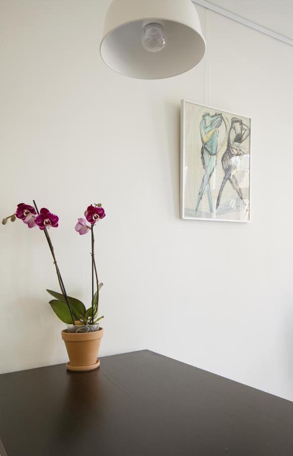 Casa de férias Tweede Laurierdwarsstraat *