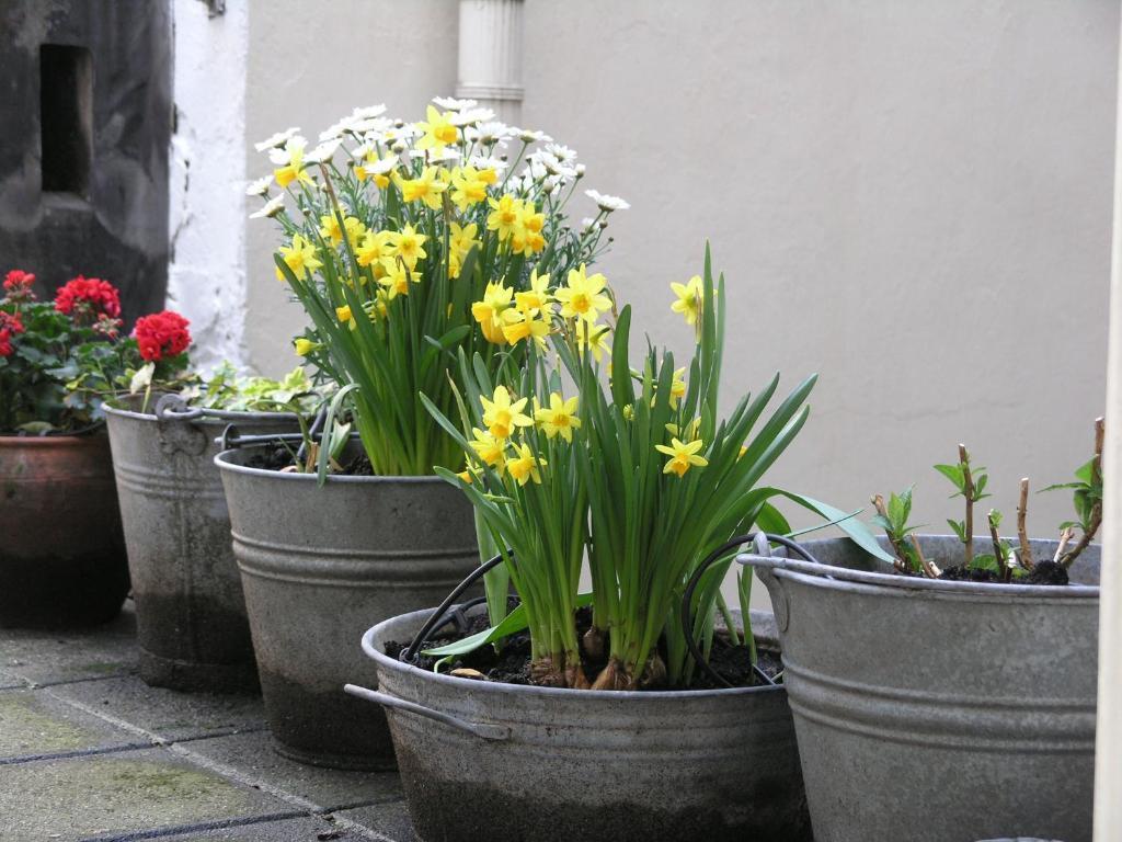 Singel 100 Frühstückspension Amsterdam