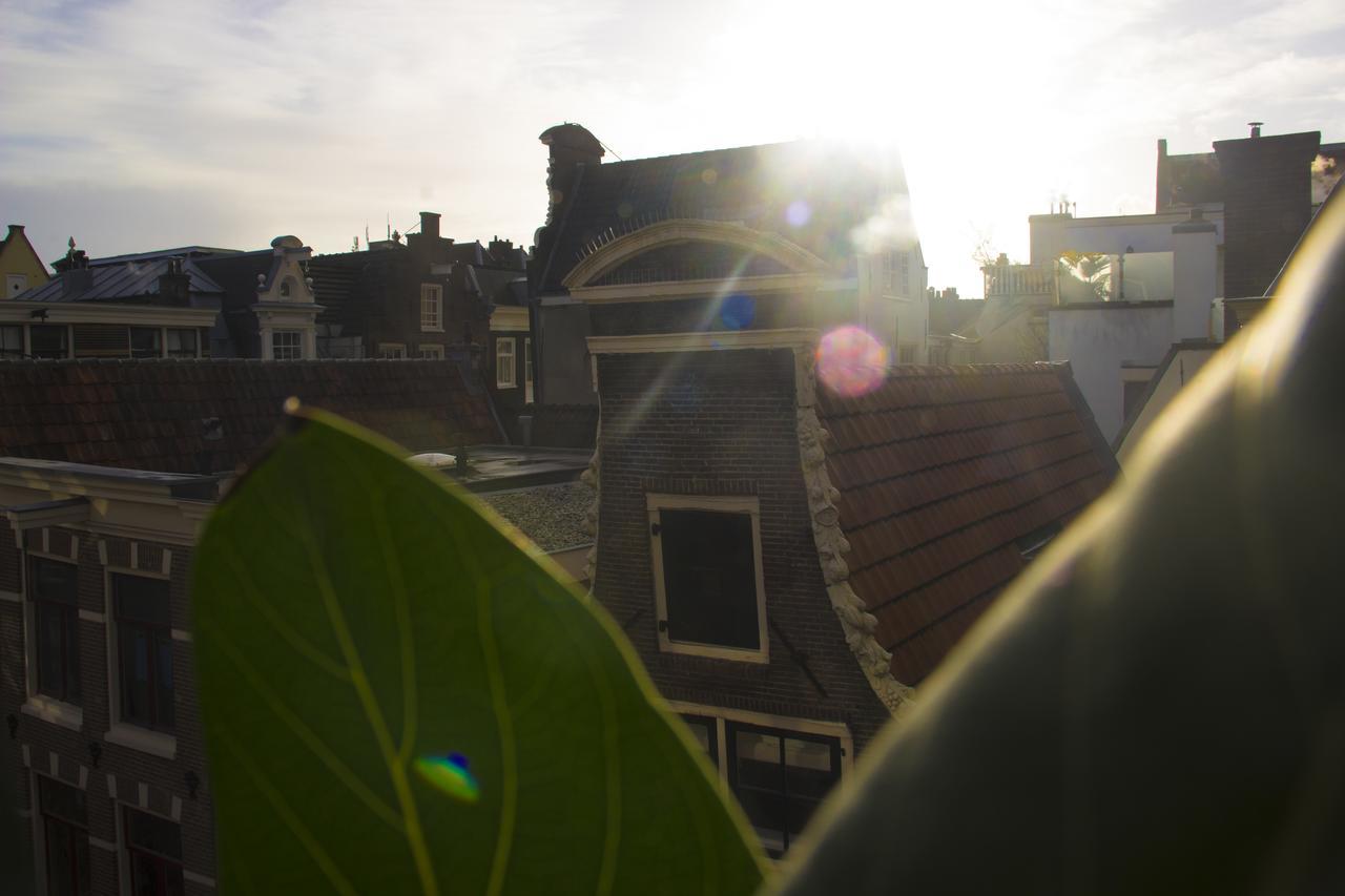 Attic Monkeys 2* Amsterdam