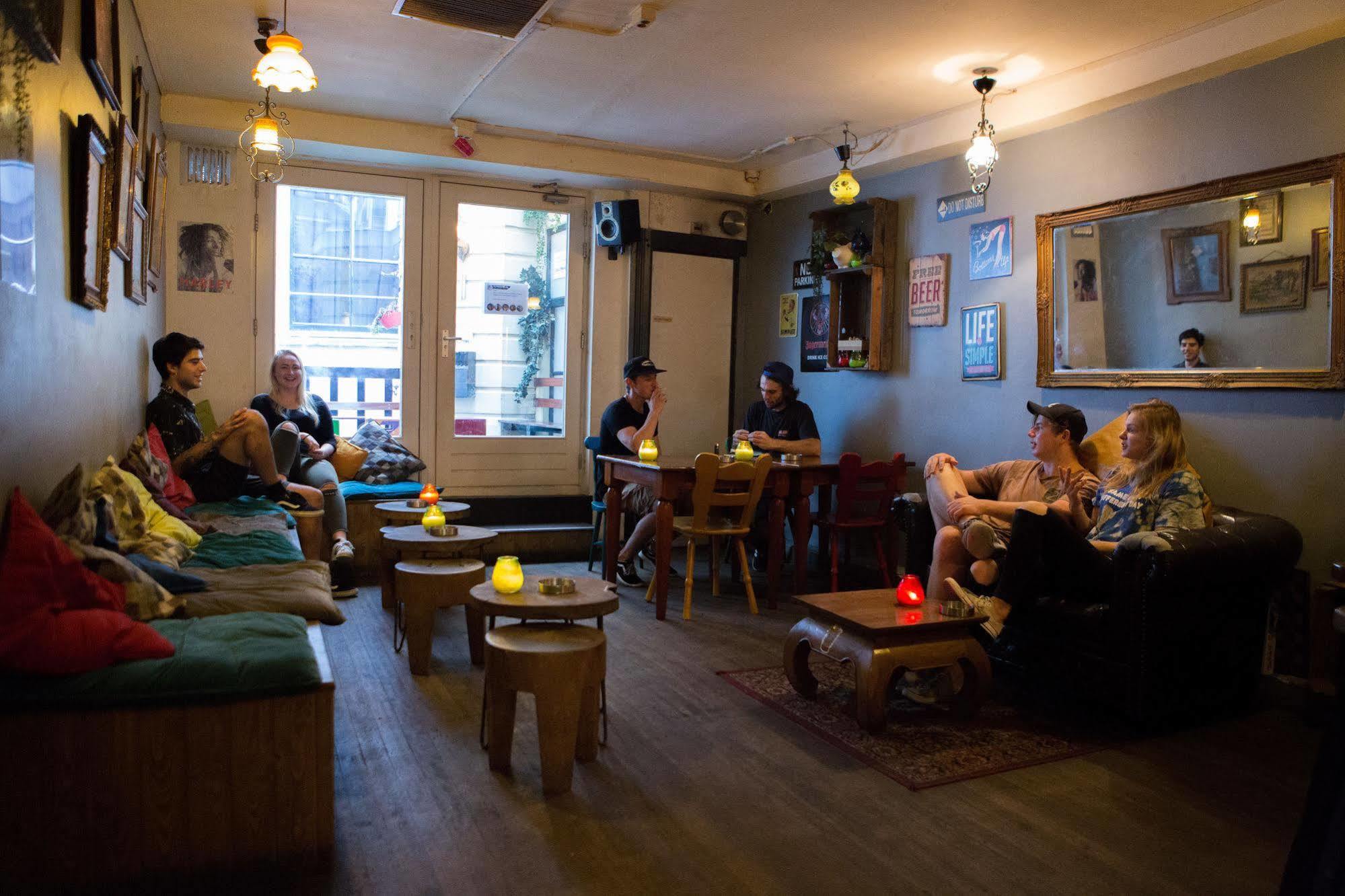 Albergue The Flying Pig Downtown *
