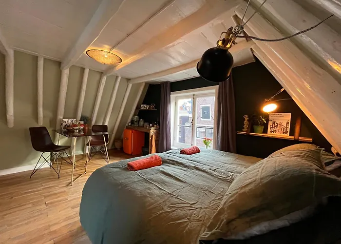 Attic Monkeys Lodge