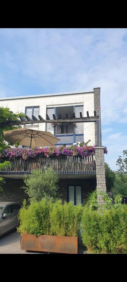 Căn hộ Lovely 1 Bedroom With Garden Amsterdam