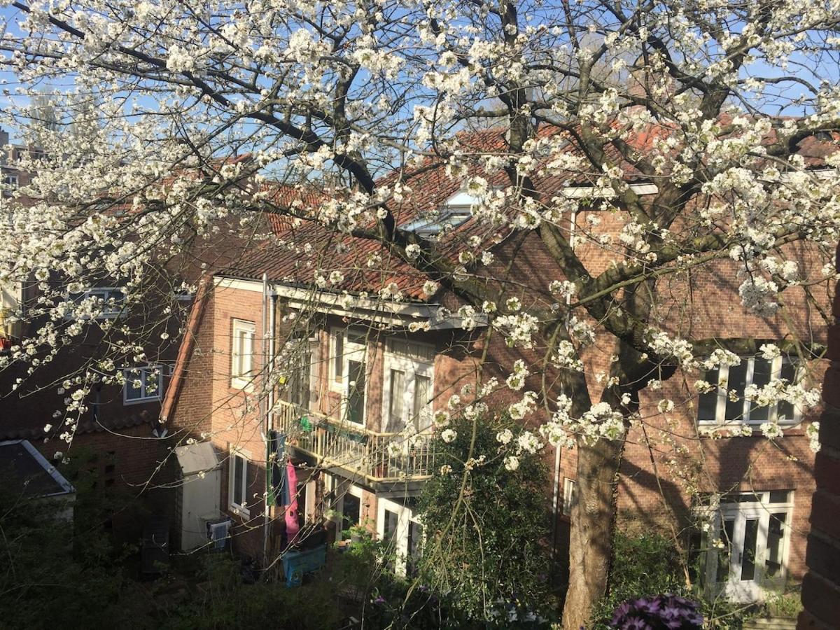 Beautiful Quiet In The Center Of Appartement Amsterdam