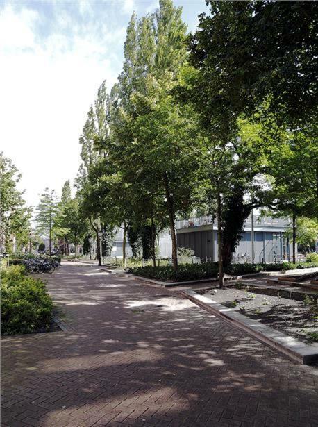 Ecofriendly Close To Center Ở trọ Amsterdam